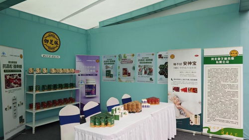 御芝林藥業亮相第三屆扁鵲文化節，多款核心產品與文化創新備受矚目